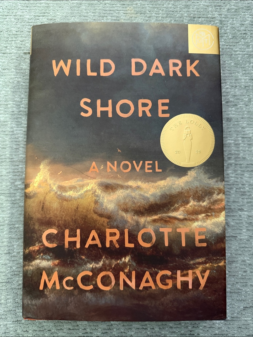 Wild Dark Shore by Charlotte McConaghy - Dark Ocean Cover